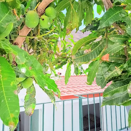 Paraiso De Anaga Appartamento *